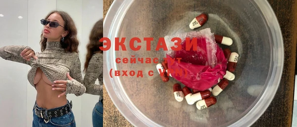 ECSTASY Богородск